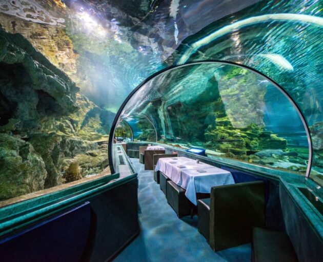 Aquarium of Guam