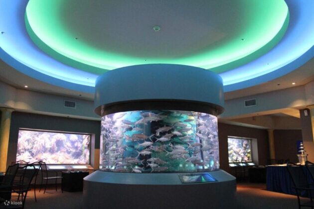 Aquarium of Guam