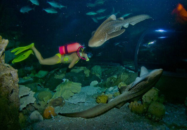 Aquarium of Guam