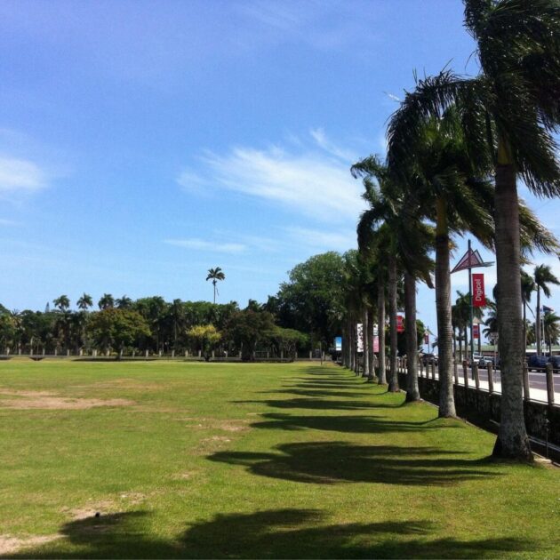 Albert Park