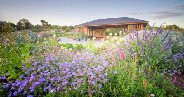 Auckland Botanic Gardens