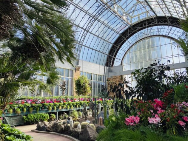Auckland Botanic Gardens