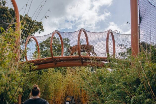 Auckland Zoo