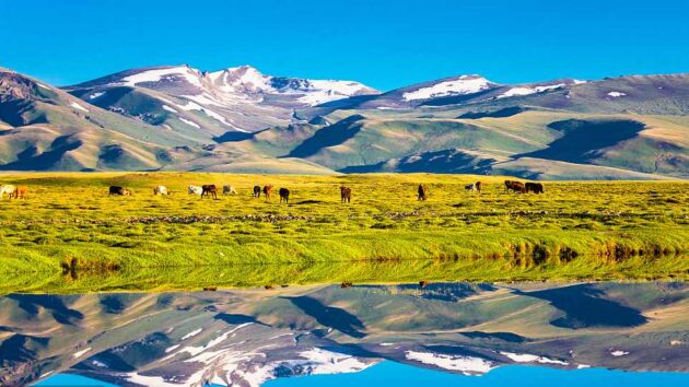 Bayanbulak Grassland