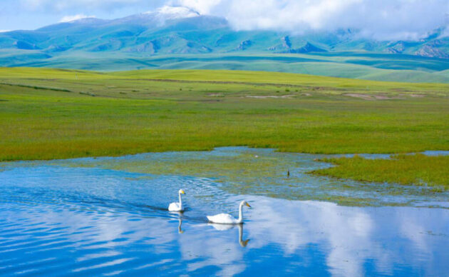 Bayanbulak Grassland