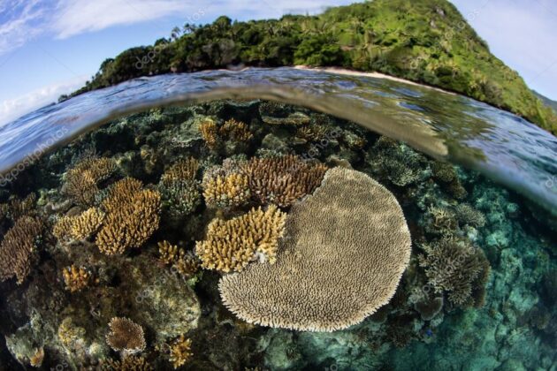 Beqa Island