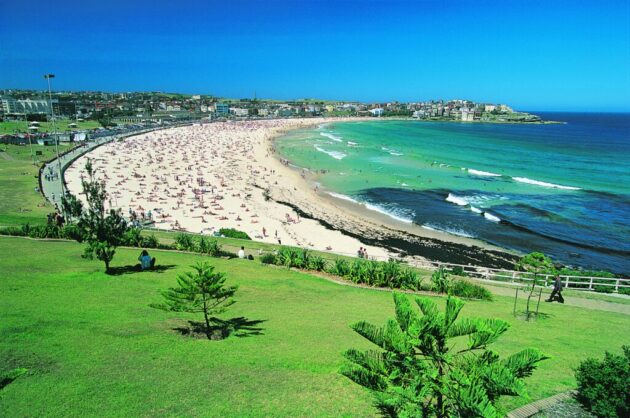 Bondi Beach