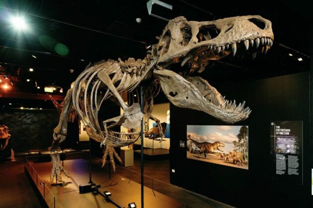 Canterbury Museum