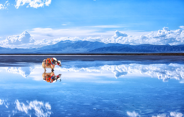Chaka Salt Lake