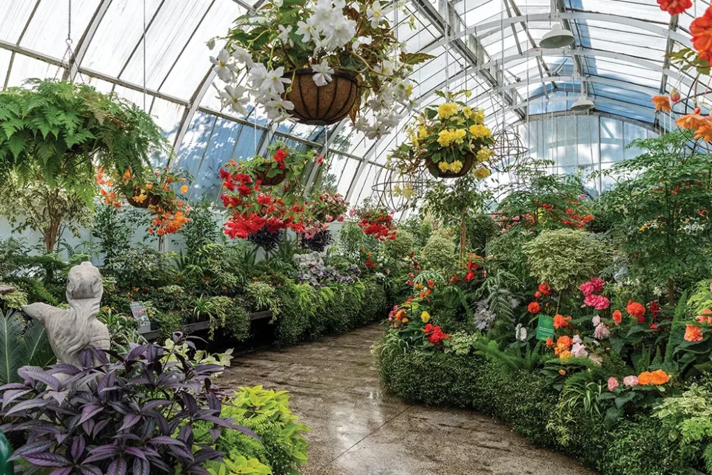 Christchurch Botanic Gardens