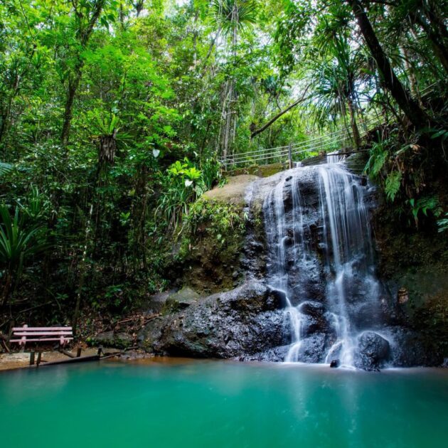 Colo-i-Suva Forest Park