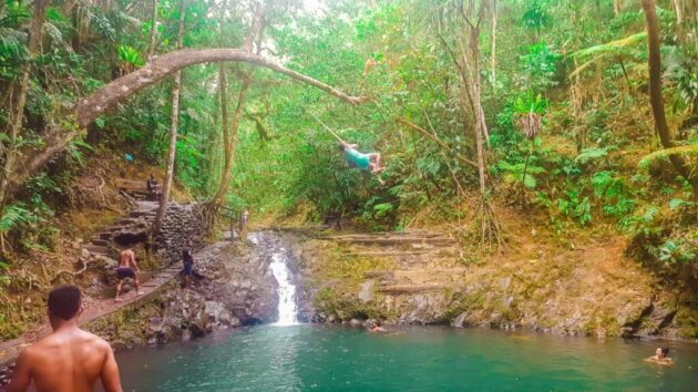 Colo-i-Suva Forest Park