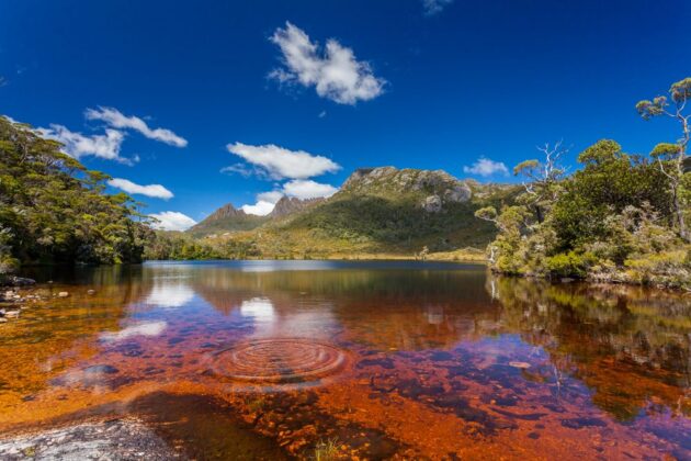 Cradle Mountain-Lake St Clair National Park
