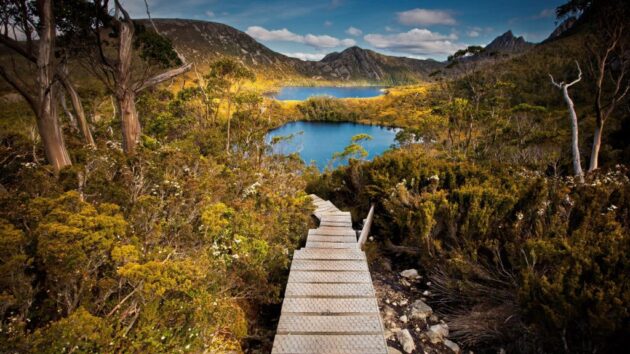 Cradle Mountain-Lake St Clair National Park