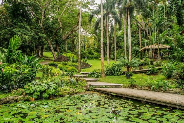 Garden of the Sleeping Giant