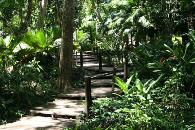 Garden of the Sleeping Giant