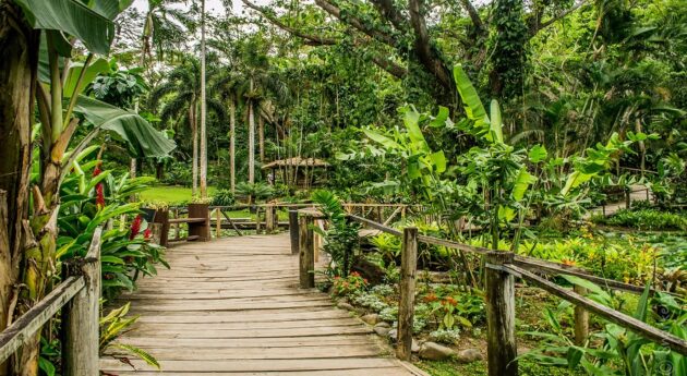 Garden of the Sleeping Giant