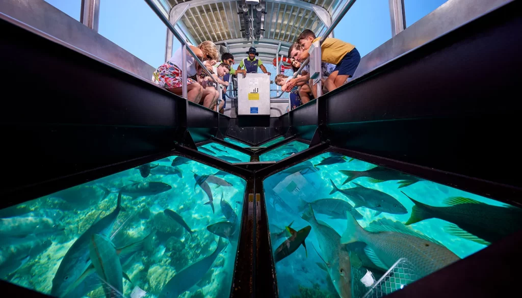 Glass-Bottom Boats and Semi-Submersibles