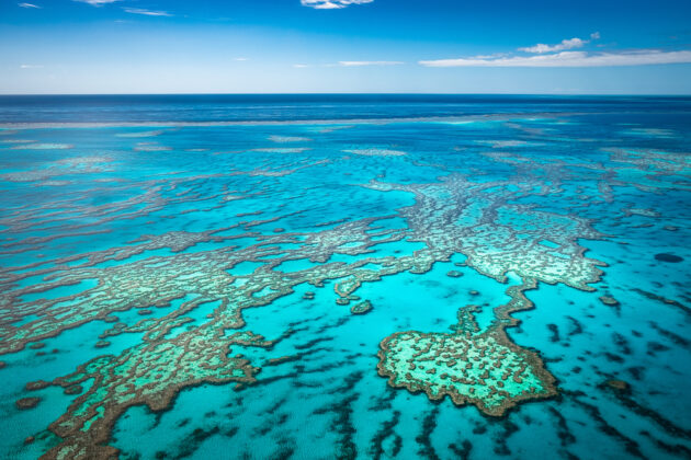 Great Barrier Reef ★★★