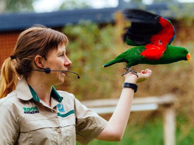 Healesville Sanctuary