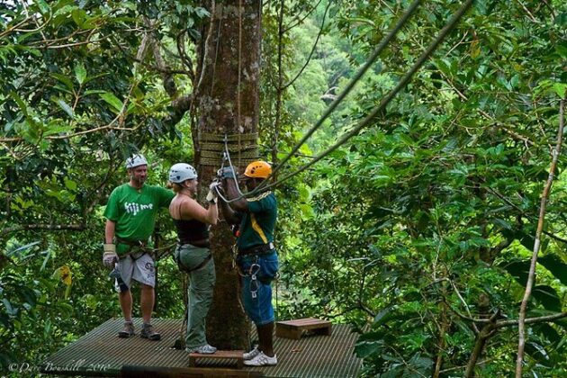 Hiking and Ziplining Pacific Harbour