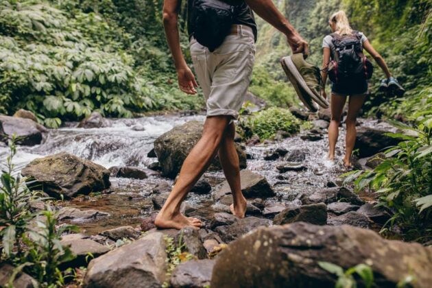 Hiking and Ziplining Pacific Harbour