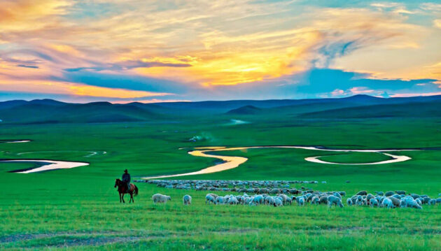 Hulunbuir Grassland (呼伦贝尔大草原)