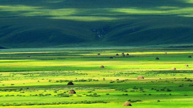 Hulunbuir Grassland