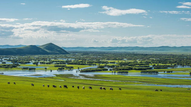 Hulunbuir Grassland