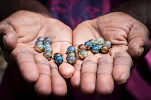 J. Hunter Pearls farm