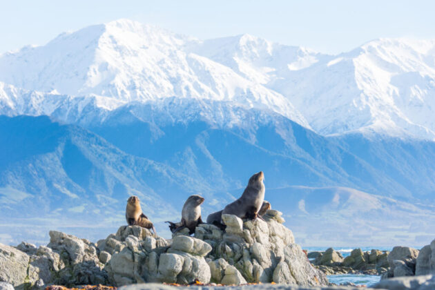 Kaikoura
