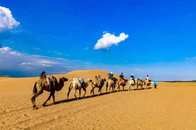 Kubuqi Desert