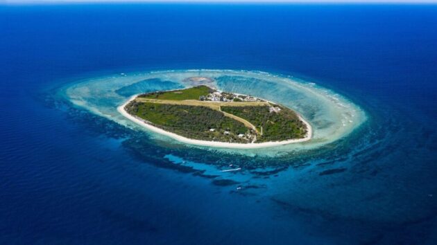 Lady Elliot Island