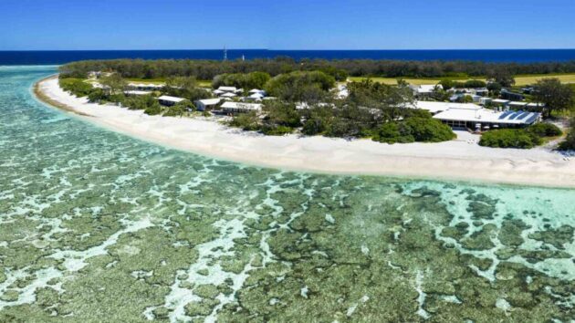Lady Elliot Island