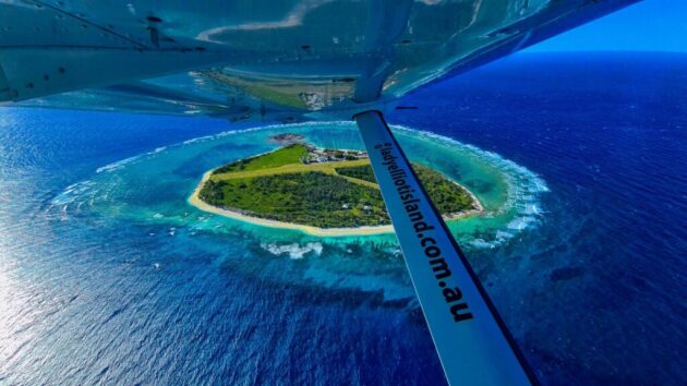 Lady Elliot Island