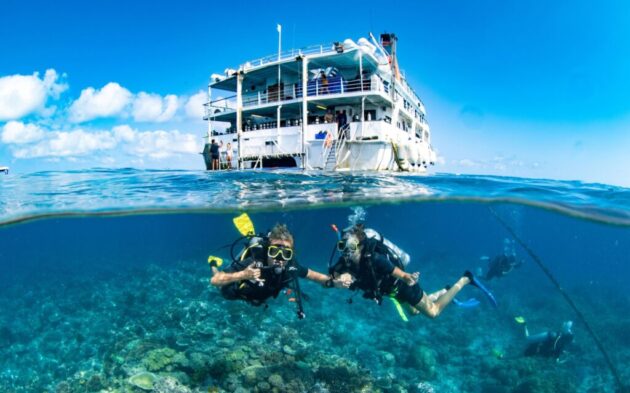 Liveaboard Tours