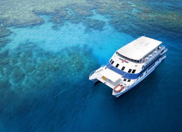 Liveaboard Tours