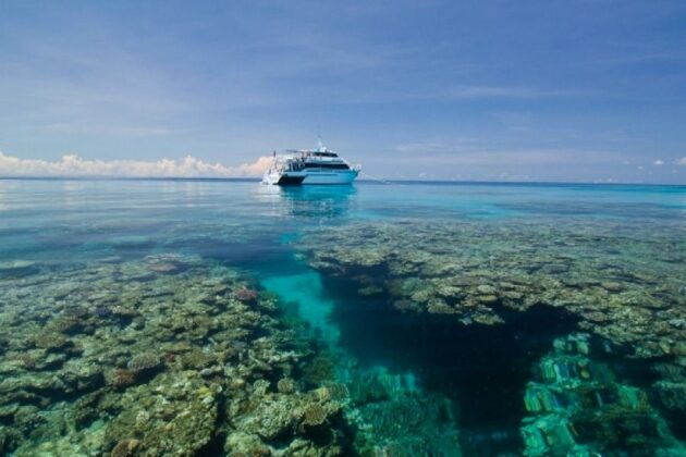 Liveaboard Tours