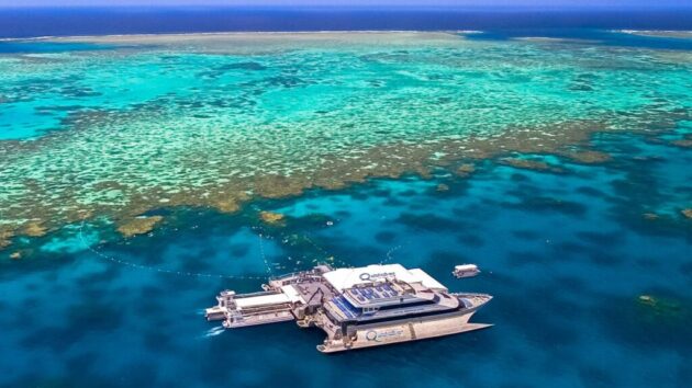 Liveaboard Tours