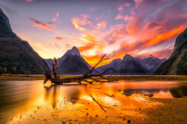 Milford Sound
