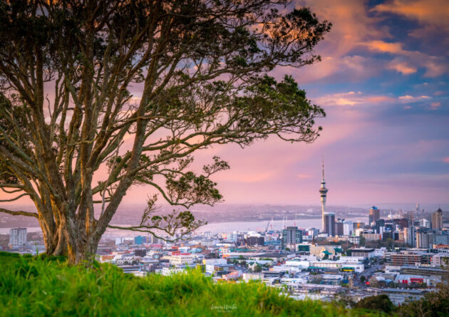 Mount Eden
