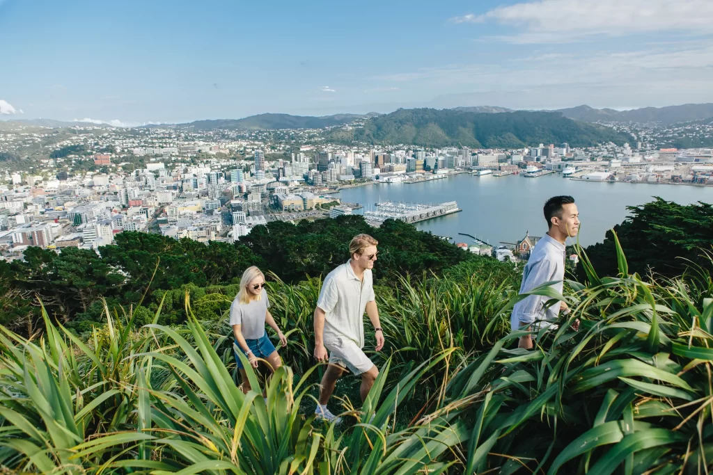 Mount Victoria Lookout