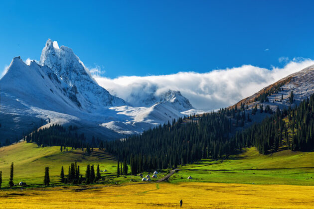 Nalati Grassland