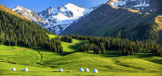 Nalati Grassland
