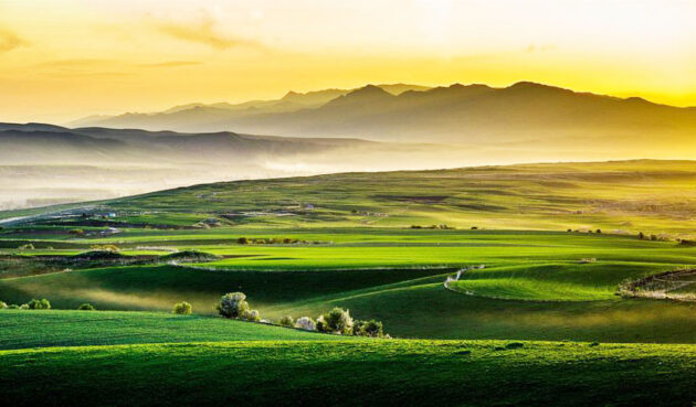 Nalati Grassland (那拉提草原)
