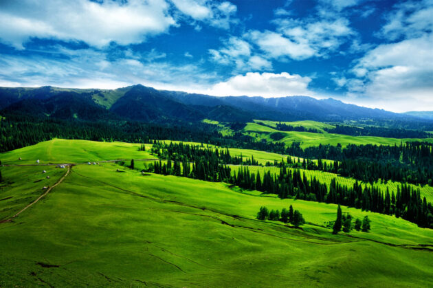 Nalati Grassland