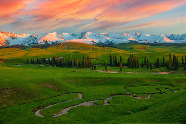Nalati Grassland