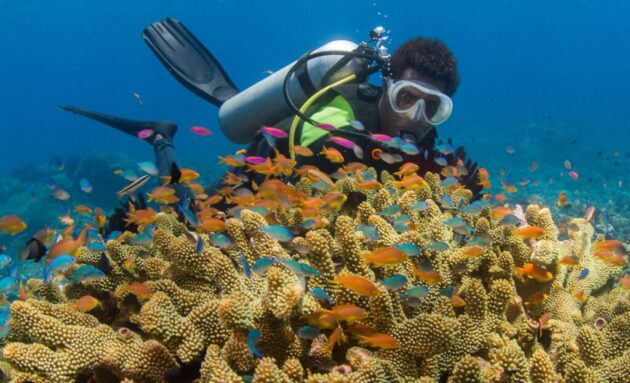 Namena Marine Reserve