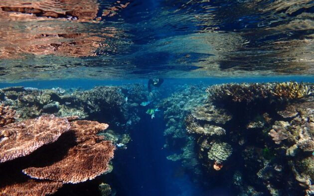 Namena Marine Reserve