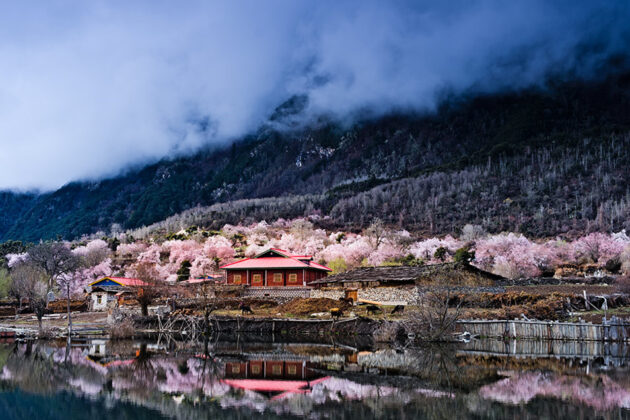Nyingchi